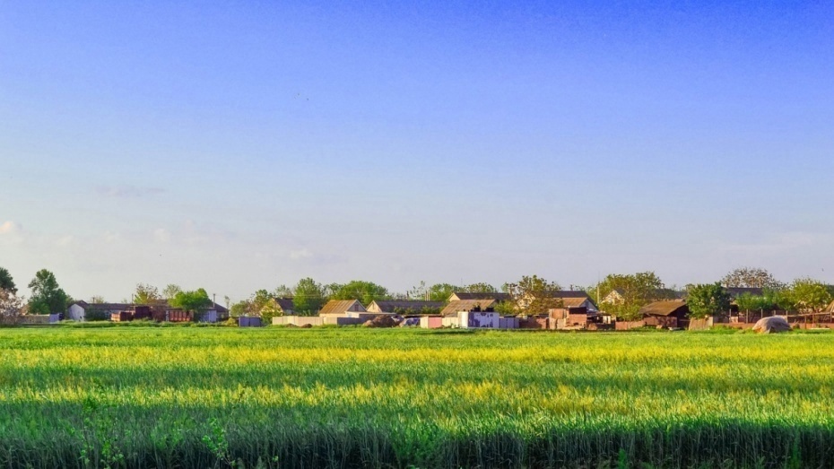 Стартовал ежегодный открытый публичный конкурс «Самое красивое село Воронежской области»..
