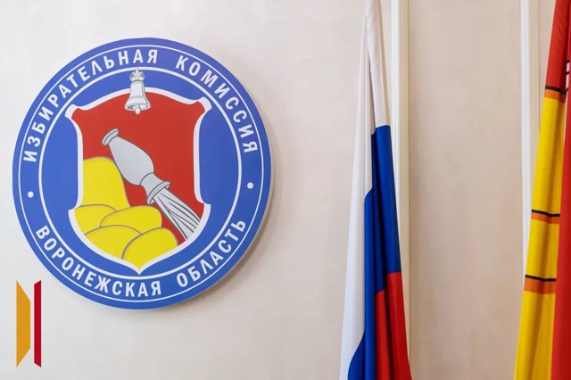 Волонтеры окажут помощь избирателям на выборах 12–14 сентября.