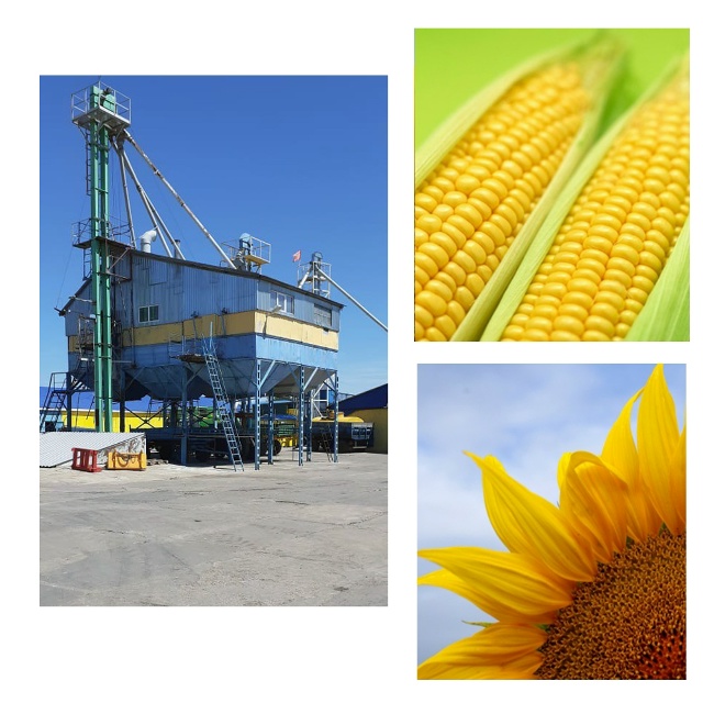 Информация по уборочной кампании..