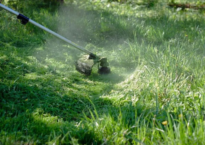 Наведем порядок в родном районе!.
