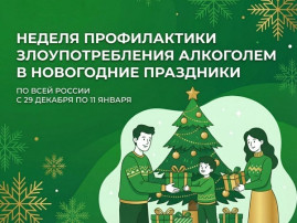 Профилактика злоупотребления алкоголем в новогодние праздники.